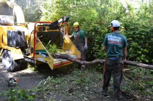 tree services St. George Island